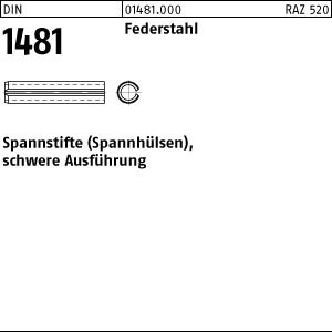 10 Spannstifte DIN 1481 Federstahl 21x95
