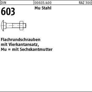 25 Schloßschrauben + Mutter DIN 603 M16x300