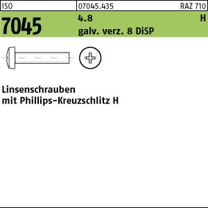 1000 Krz. Linsenkopfschrauben ISO 7045 4.8 M6x12 -H 8 DiSP Stahl