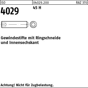 50 Inbus Gewindestifte ISO 4029 45H Stahl M12x80
