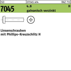 200 Krz. Linsenkopfschrauben ISO 7045 4.8 -H verzinkt M2,5x10